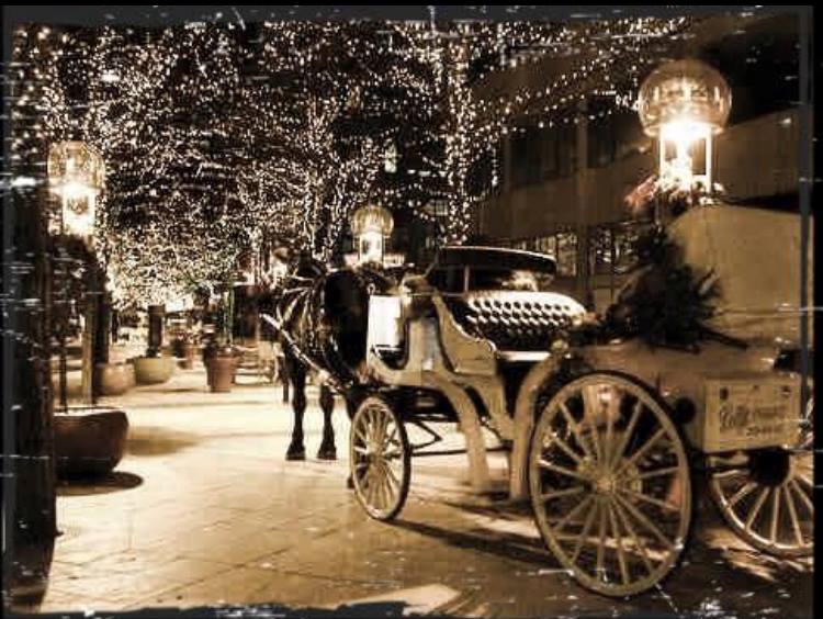 Horse drawn carriage with lights on trees