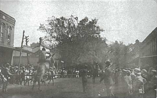 Jumping Mule — Ipava Corn and Horse Show — 1912