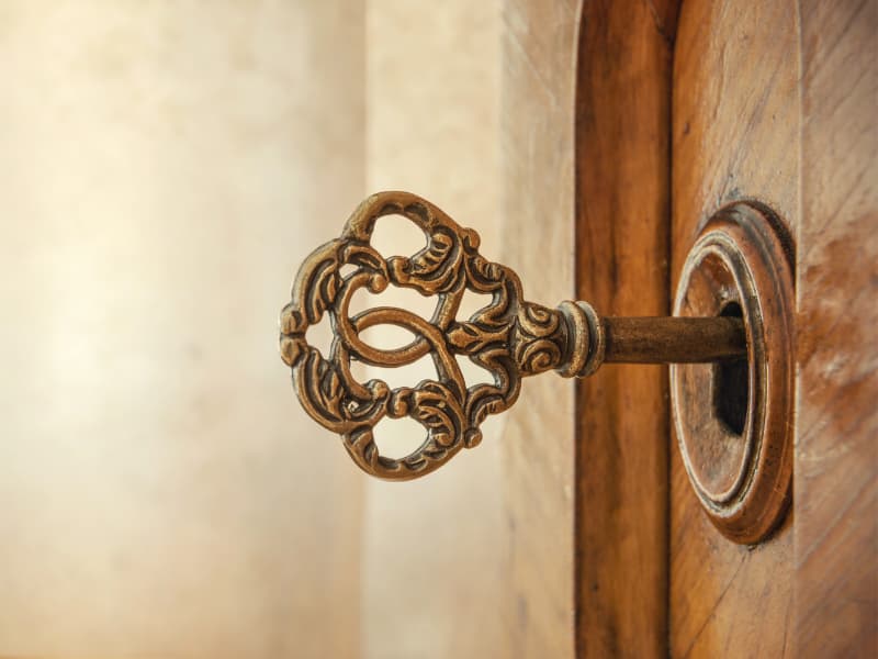 Door with antique lock